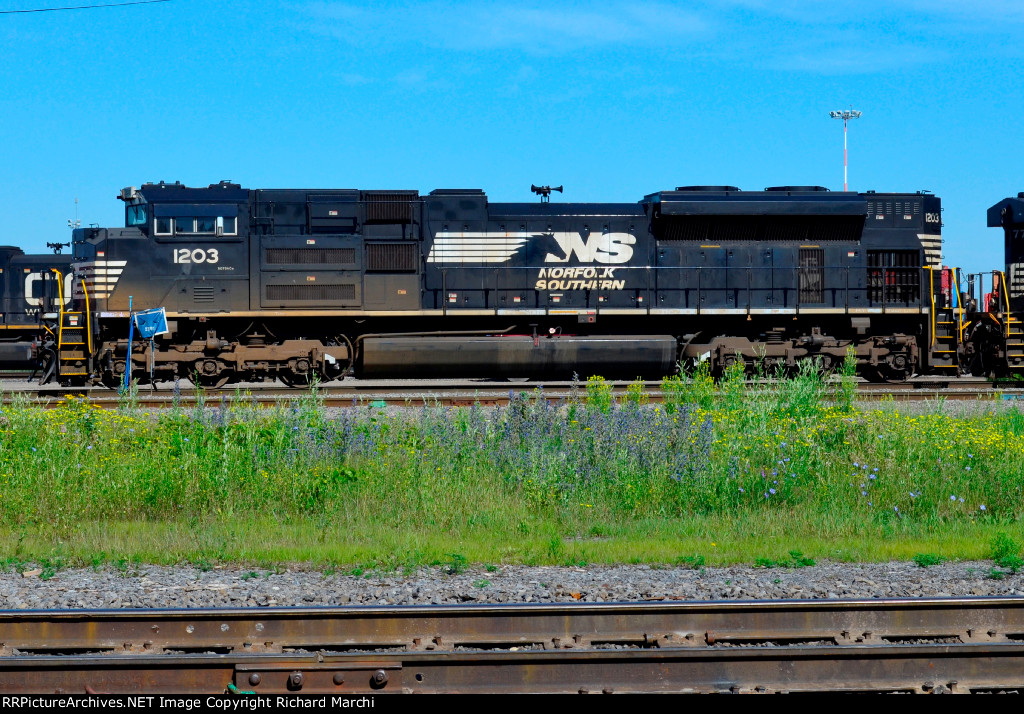 NS 1203